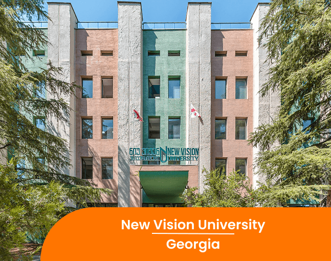 New Vision University